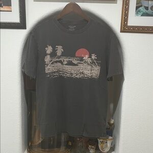 American Eagle Outfitters Gray Tee with Red Sun and Palm Design